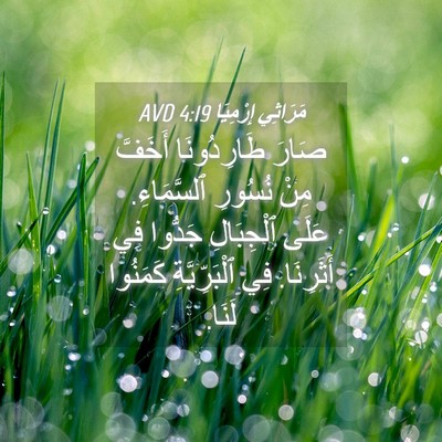 Picture 04 - مَرَاثِي إِرْمِيَا 4:19 AVD - صَارَ طَارِدُونَا أَخَفَّ - Bible Verse Picture