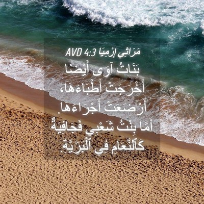 Picture 04 - مَرَاثِي إِرْمِيَا 4:3 AVD - بَنَاتُ آوَى أَيْضًا - Bible Verse Picture