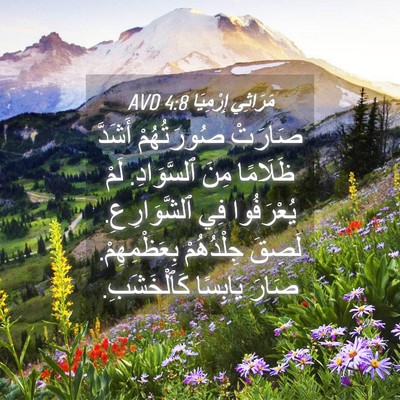 Picture 04 - مَرَاثِي إِرْمِيَا 4:8 AVD - صَارَتْ صُورَتُهُمْ - Bible Verse Picture