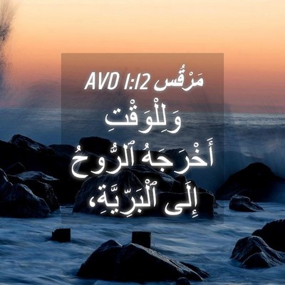 Picture 04 - مَرْقُس 1:12 AVD - وَلِلْوَقْتِ أَخْرَجَهُ - Bible Verse Picture