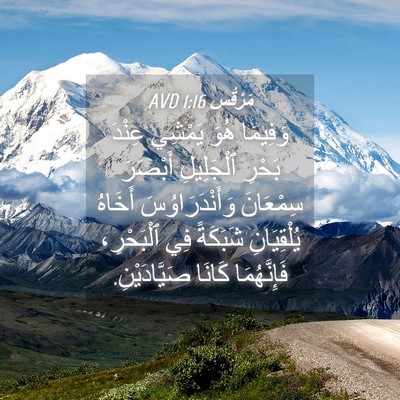 Picture 04 - مَرْقُس 1:16 AVD - وَفِيمَا هُوَ يَمْشِي - Bible Verse Picture