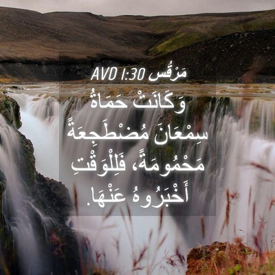 Picture 04 - مَرْقُس 1:30 AVD - وَكَانَتْ حَمَاةُ - Bible Verse Picture