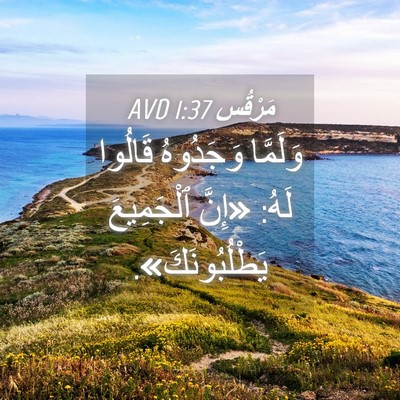 Picture 04 - مَرْقُس 1:37 AVD - وَلَمَّا وَجَدُوهُ - Bible Verse Picture