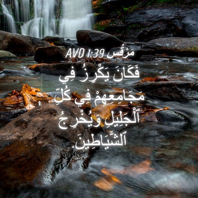 Picture 04 - مَرْقُس 1:39 AVD - فَكَانَ يَكْرِزُ فِي - Bible Verse Picture