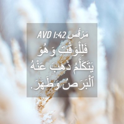 Picture 04 - مَرْقُس 1:42 AVD - فَلِلْوَقْتِ وَهُوَ - Bible Verse Picture