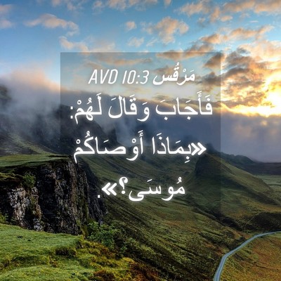 Picture 04 - مَرْقُس 10:3 AVD - فَأَجَابَ وَقَالَ لَهُمْ: - Bible Verse Picture