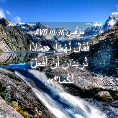 Picture 04 - مَرْقُس 10:36 AVD - فَقَالَ لَهُمَا: «مَاذَا - Bible Verse Picture
