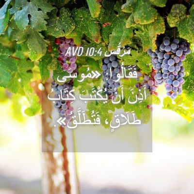 Picture 04 - مَرْقُس 10:4 AVD - فَقَالُوا: «مُوسَى أَذِنَ - Bible Verse Picture