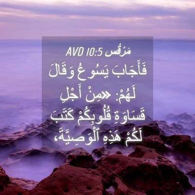 Picture 04 - مَرْقُس 10:5 AVD - فَأَجَابَ يَسُوعُ وَقَالَ - Bible Verse Picture