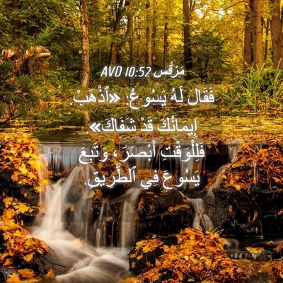 Picture 04 - مَرْقُس 10:52 AVD - فَقَالَ لَهُ يَسُوعُ: - Bible Verse Picture