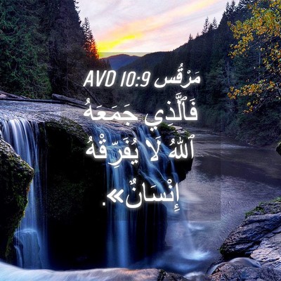 Picture 04 - مَرْقُس 10:9 AVD - فَٱلَّذِي جَمَعَهُ ٱللهُ - Bible Verse Picture