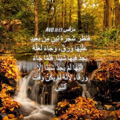 Picture 04 - مَرْقُس 11:13 AVD - فَنَظَرَ شَجَرَةَ تِينٍ - Bible Verse Picture