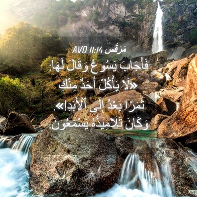 Picture 04 - مَرْقُس 11:14 AVD - فَأَجَابَ يَسُوعُ وَقَالَ - Bible Verse Picture