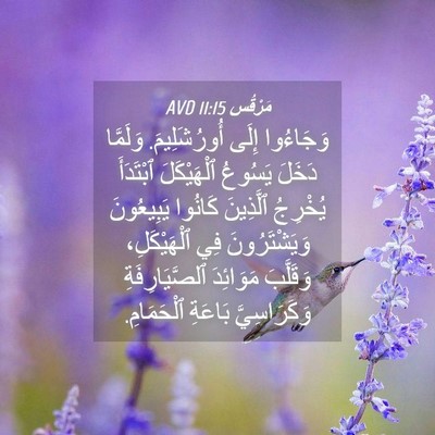 Picture 04 - مَرْقُس 11:15 AVD - وَجَاءُوا إِلَى - Bible Verse Picture