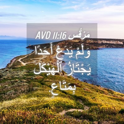 Picture 04 - مَرْقُس 11:16 AVD - وَلَمْ يَدَعْ أَحَدًا - Bible Verse Picture