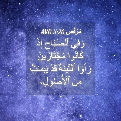 Picture 04 - مَرْقُس 11:20 AVD - وَفِي ٱلصَّبَاحِ إِذْ - Bible Verse Picture