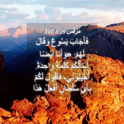 Picture 04 - مَرْقُس 11:29 AVD - فَأَجَابَ يَسُوعُ وَقَالَ - Bible Verse Picture