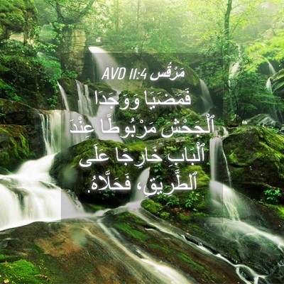 Picture 04 - مَرْقُس 11:4 AVD - فَمَضَيَا وَوَجَدَا - Bible Verse Picture