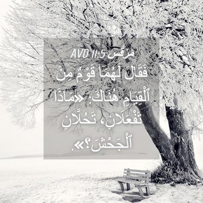 Picture 04 - مَرْقُس 11:5 AVD - فَقَالَ لَهُمَا قَوْمٌ - Bible Verse Picture