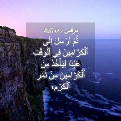 Picture 04 - مَرْقُس 12:2 AVD - ثُمَّ أَرْسَلَ إِلَى - Bible Verse Picture