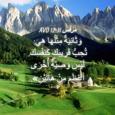 Picture 04 - مَرْقُس 12:31 AVD - وَثَانِيَةٌ مِثْلُهَا - Bible Verse Picture