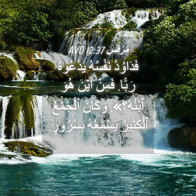Picture 04 - مَرْقُس 12:37 AVD - فَدَاوُدُ نَفْسُهُ - Bible Verse Picture