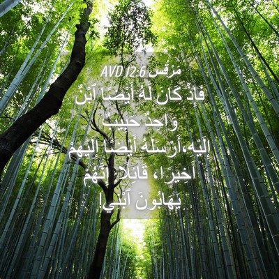 Picture 04 - مَرْقُس 12:6 AVD - فَإِذْ كَانَ لَهُ أَيْضًا - Bible Verse Picture