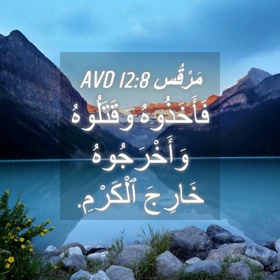 Picture 04 - مَرْقُس 12:8 AVD - فَأَخَذُوهُ وَقَتَلُوهُ - Bible Verse Picture