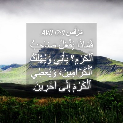 Picture 04 - مَرْقُس 12:9 AVD - فَمَاذَا يَفْعَلُ صَاحِبُ - Bible Verse Picture
