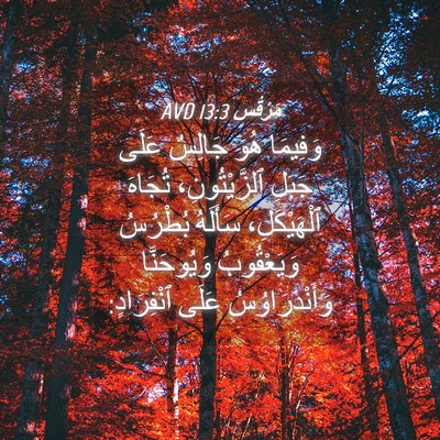 Picture 04 - مَرْقُس 13:3 AVD - وَفِيمَا هُوَ جَالِسٌ - Bible Verse Picture
