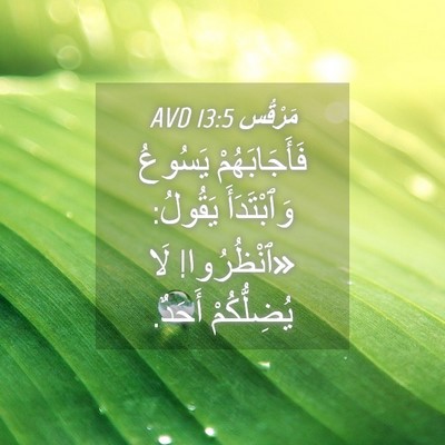 Picture 04 - مَرْقُس 13:5 AVD - فَأَجَابَهُمْ يَسُوعُ - Bible Verse Picture