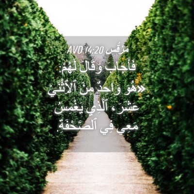 Picture 04 - مَرْقُس 14:20 AVD - فَأَجَابَ وَقَالَ لَهُمْ: - Bible Verse Picture