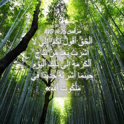 Picture 04 - مَرْقُس 14:25 AVD - اَلْحَقَّ أَقُولُ لَكُمْ: - Bible Verse Picture