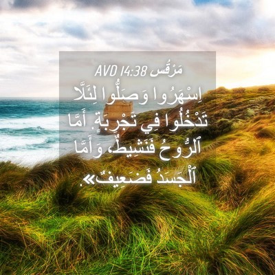 Picture 04 - مَرْقُس 14:38 AVD - اِسْهَرُوا وَصَلُّوا - Bible Verse Picture