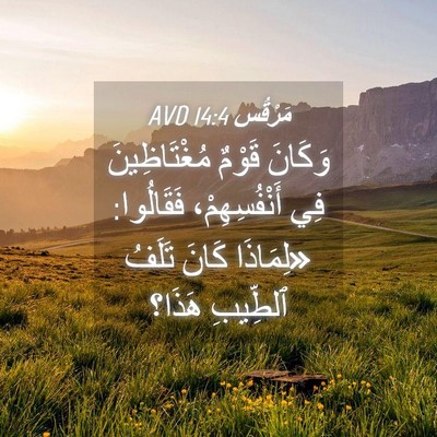 Picture 04 - مَرْقُس 14:4 AVD - وَكَانَ قَوْمٌ - Bible Verse Picture