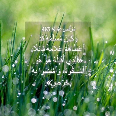 Picture 04 - مَرْقُس 14:44 AVD - وَكَانَ مُسَلِّمُهُ قَدْ - Bible Verse Picture