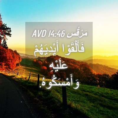 Picture 04 - مَرْقُس 14:46 AVD - فَأَلْقَوْا أَيْدِيَهُمْ - Bible Verse Picture