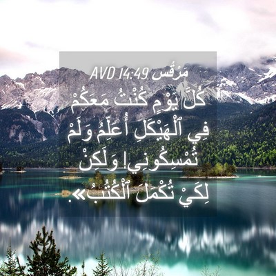 Picture 04 - مَرْقُس 14:49 AVD - كُلَّ يَوْمٍ كُنْتُ - Bible Verse Picture