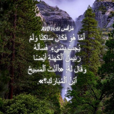 Picture 04 - مَرْقُس 14:61 AVD - أَمَّا هُوَ فَكَانَ - Bible Verse Picture