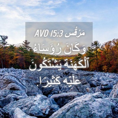 Picture 04 - مَرْقُس 15:3 AVD - وَكَانَ رُؤَسَاءُ - Bible Verse Picture