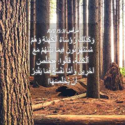 Picture 04 - مَرْقُس 15:31 AVD - وَكَذَلِكَ رُؤَسَاءُ - Bible Verse Picture
