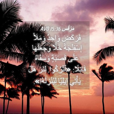 Picture 04 - مَرْقُس 15:36 AVD - فَرَكَضَ وَاحِدٌ وَمَلَأَ - Bible Verse Picture
