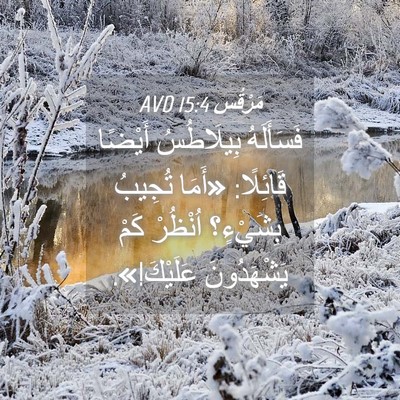 Picture 04 - مَرْقُس 15:4 AVD - فَسَأَلَهُ بِيلَاطُسُ - Bible Verse Picture