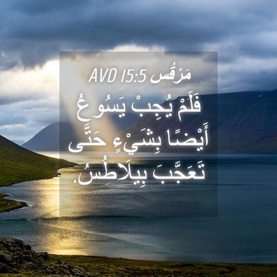 Picture 04 - مَرْقُس 15:5 AVD - فَلَمْ يُجِبْ يَسُوعُ - Bible Verse Picture