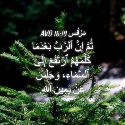 Picture 04 - مَرْقُس 16:19 AVD - ثُمَّ إِنَّ ٱلرَّبَّ - Bible Verse Picture