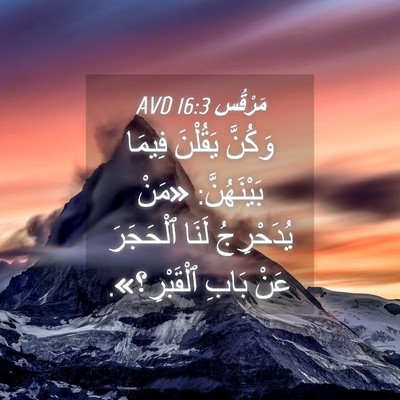 Picture 04 - مَرْقُس 16:3 AVD - وَكُنَّ يَقُلْنَ فِيمَا - Bible Verse Picture