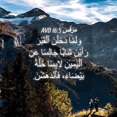 Picture 04 - مَرْقُس 16:5 AVD - وَلَمَّا دَخَلْنَ - Bible Verse Picture