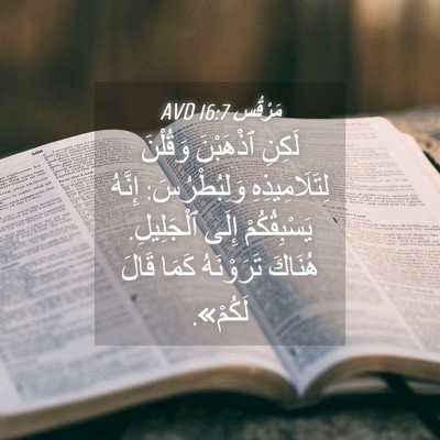 Picture 04 - مَرْقُس 16:7 AVD - لَكِنِ ٱذْهَبْنَ وَقُلْنَ - Bible Verse Picture