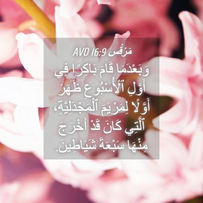 Picture 04 - مَرْقُس 16:9 AVD - وَبَعْدَمَا قَامَ - Bible Verse Picture