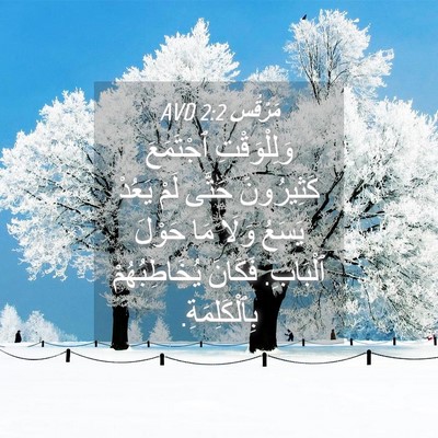 Picture 04 - مَرْقُس 2:2 AVD - وَلِلْوَقْتِ ٱجْتَمَعَ - Bible Verse Picture